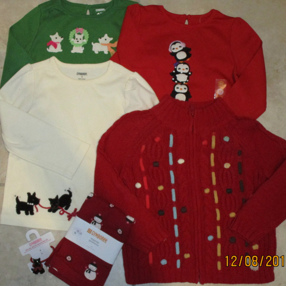 NWT Gymboree 6pc Lot Sweater Tops Leggings Hair 3T